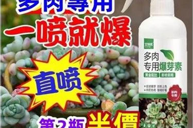 劳尔如何爆侧芽