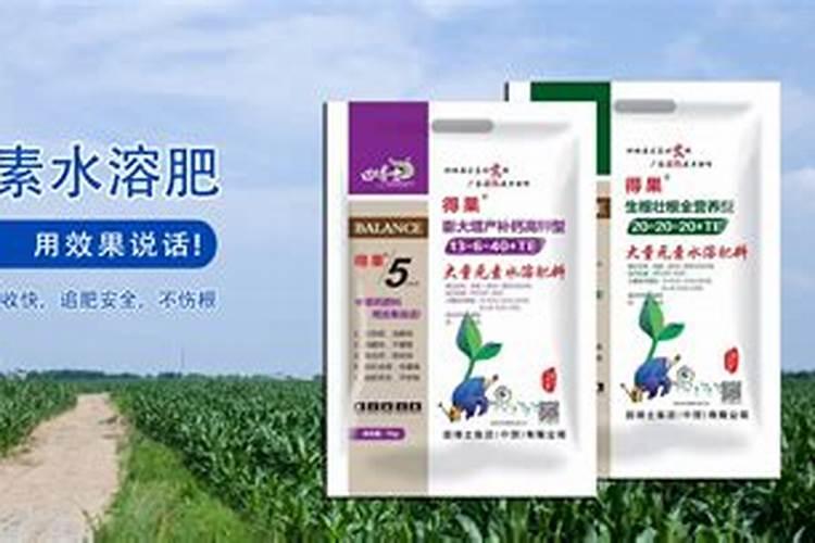 苹果树七月中下旬应该怎么使用膨大肥？