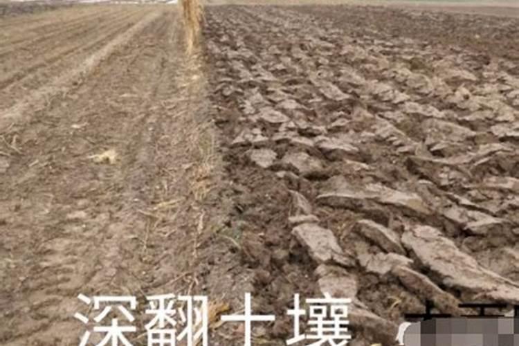 氮肥对农作物的影响