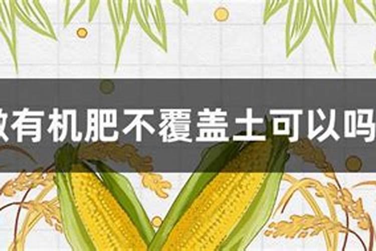 一亩地施多少斤有机肥颗粒,有机肥施在土上表面可以吗