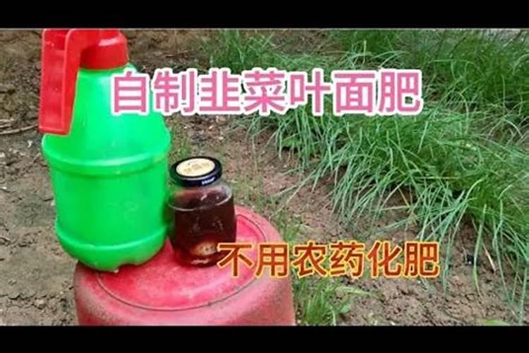 蛋壳有什么作用？鸡蛋壳别扔,用对了一年能省下好几百,可惜知道的人不多...