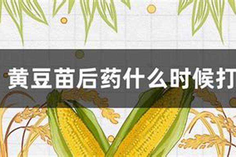 黄豆怎么种植方法