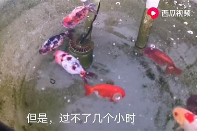河蟹养殖池塘总硬度低怎么办？