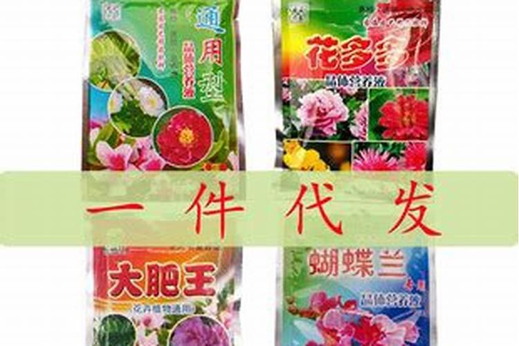 杜鹃施肥方法,用什么肥好
