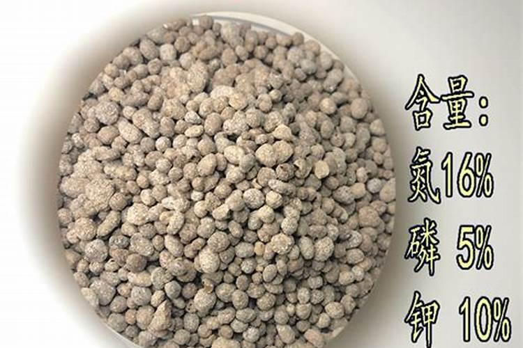 广西桉树肥料哪个肥好