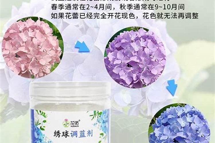 绣球花的专用肥料可以铺在其他植物上面吗？