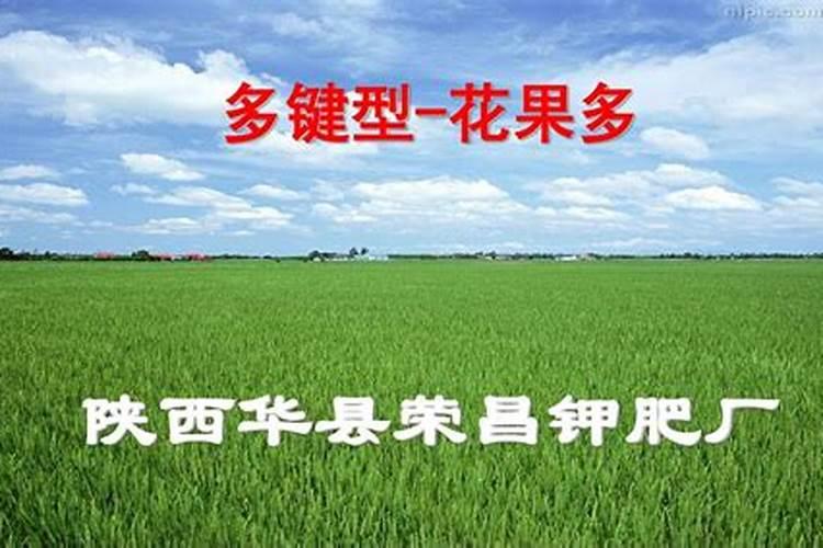 胡萝卜施什么肥最好