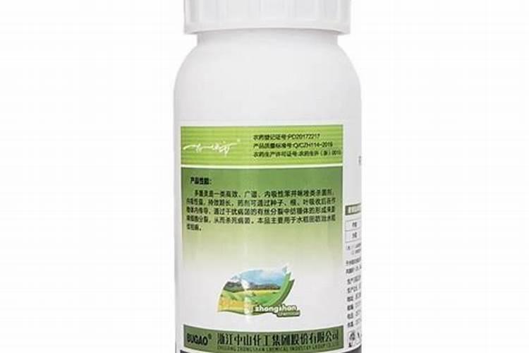 大叶黄杨炭疽病用什么农药最好？