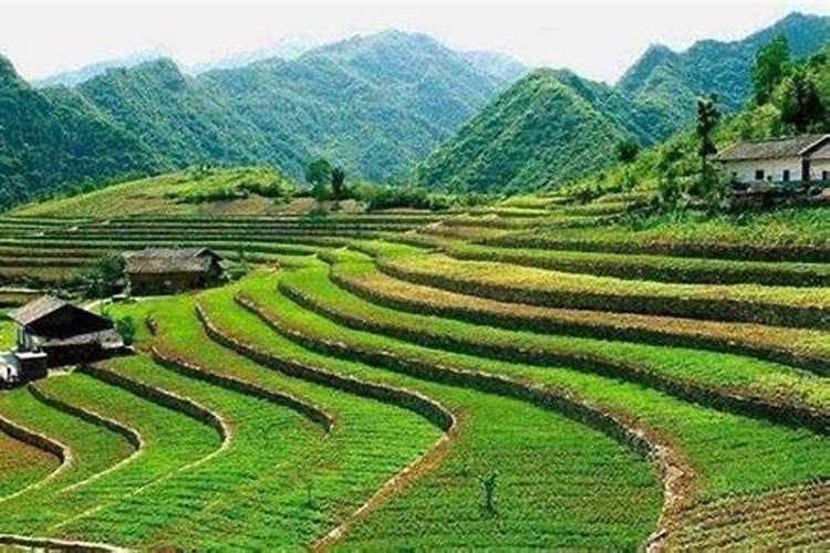 钾肥一亩地上多少
