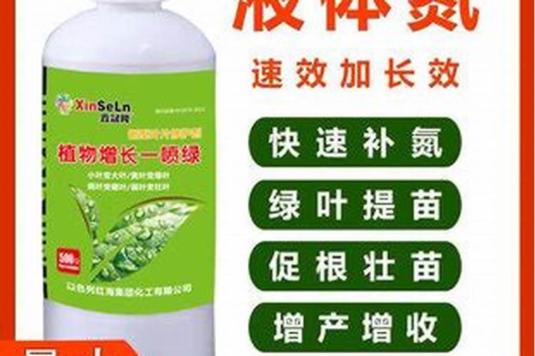 葡萄树叶片问题