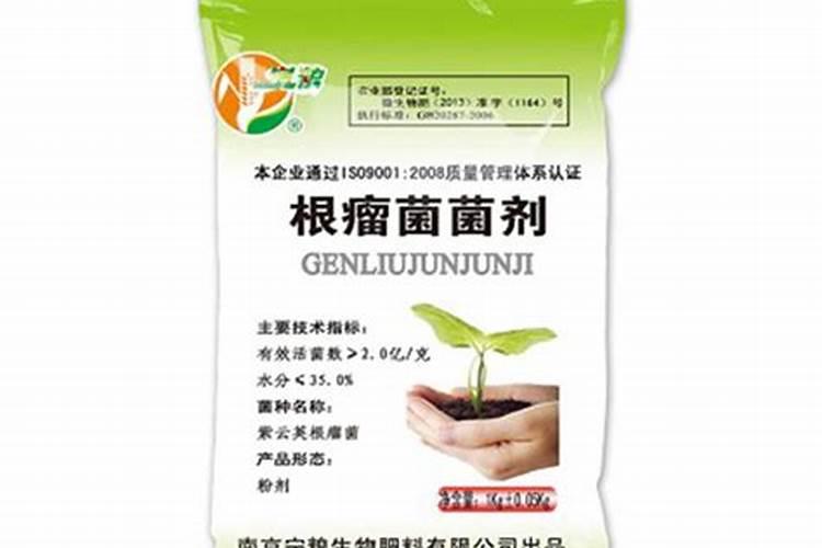 为什么豆类植物不需要施氮肥