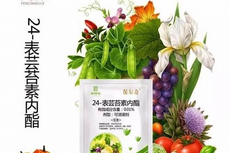 农药与芸苔素混用会降低或消除药效呢？