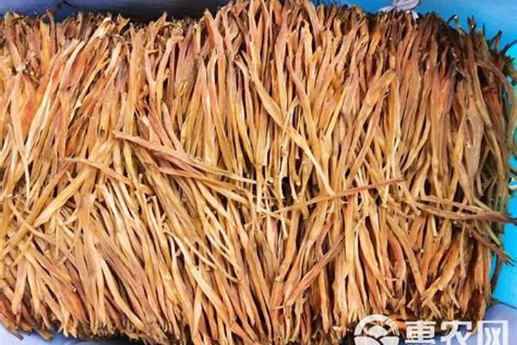 黄花菜正确施肥方法