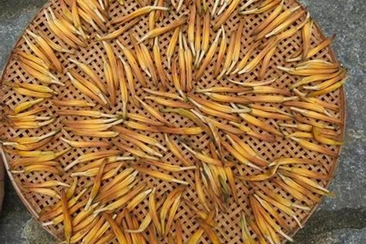黄花菜怎么种植 黄花菜如何种植