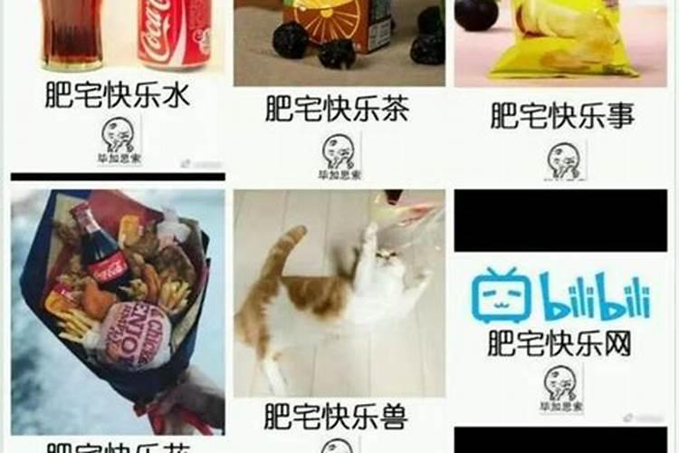 肥宅快乐水什么意思