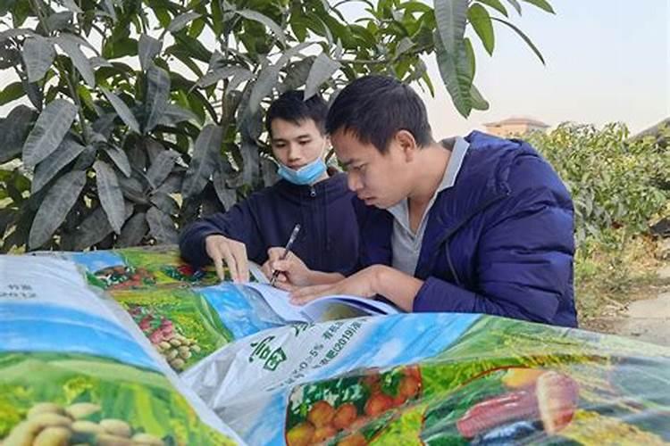 蔬菜叶面肥木醋液市场
