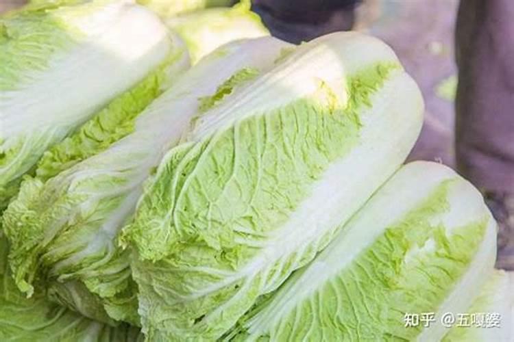 白菜最忌三种肥料