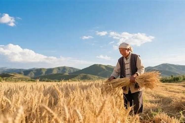 为什么草木灰是一种好钾肥？在施用时要注意什么问题呢？