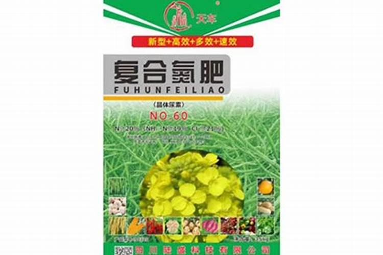 四川自贡的大葱大葱种植可以在浙江嘉兴种植吗？