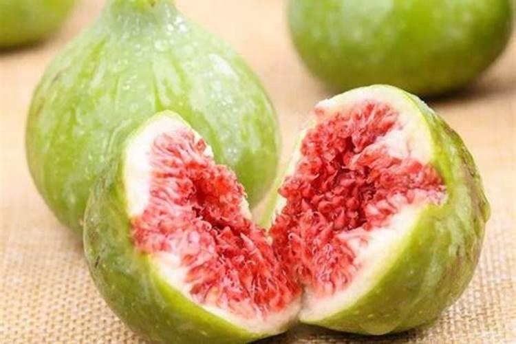 无花果不发芽怎么办 无花果不发芽的解决方法