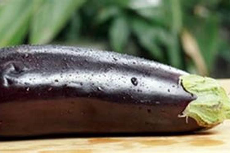 大棚种植茄子,茄子黄头现象应该怎样治疗？听听专家是怎么讲的