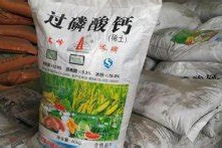 常见的磷肥有哪些？
