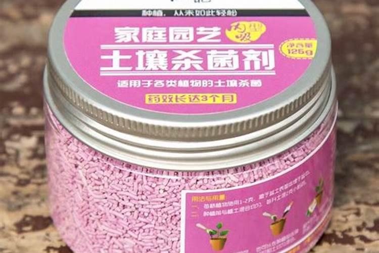 多肉放了小蓝小粉后能放到卧室吗