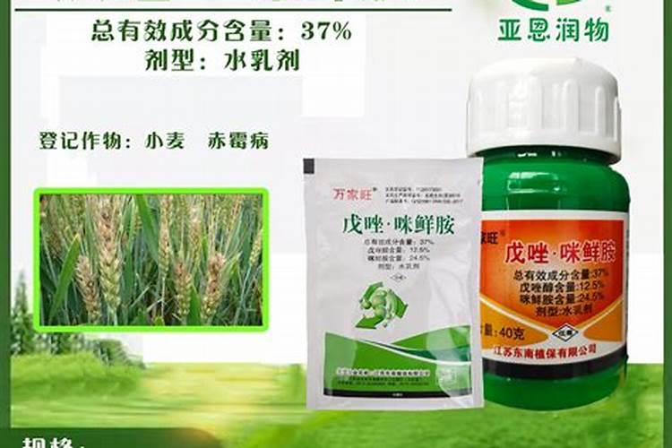 小麦赤霉病防治最佳时期小麦赤霉病的发病原因