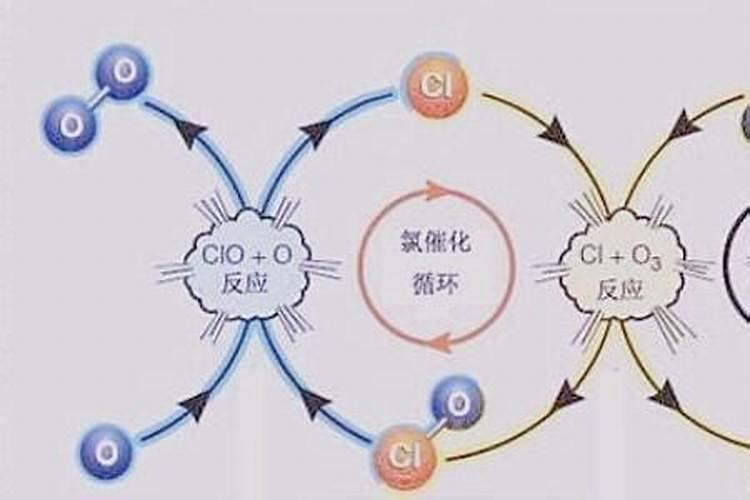 油菜施什么肥好