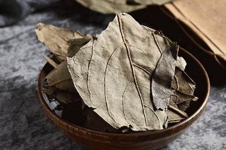 柿子施壮果肥最佳时间 施肥方法有哪些