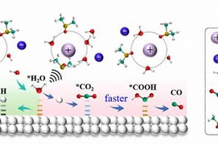 腐植酸水溶肥是什么？它有啥作用呢？