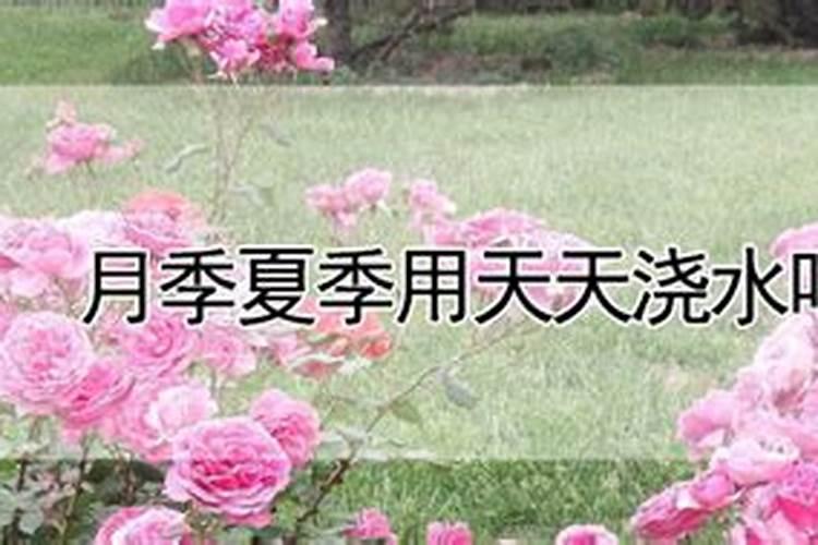 北京附近哪里有批发蔬菜的地方