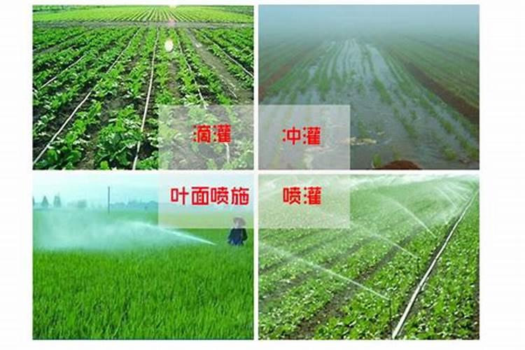 氮肥损失途径有哪些？怎样减少氮素损失？