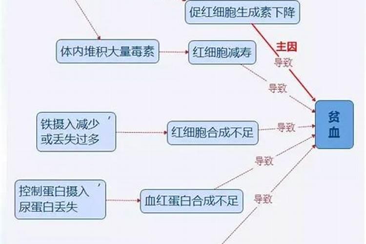 鱼蛋白肥料的使用技巧
