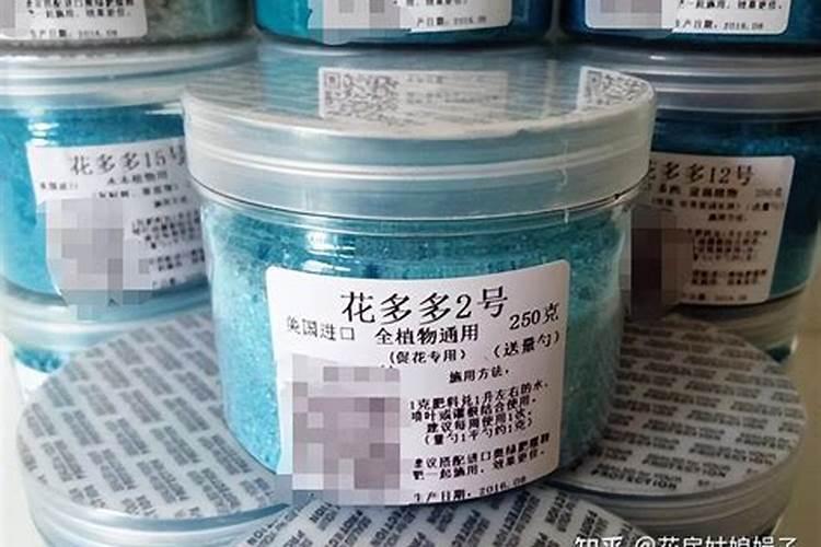 三角梅如何催花 正确的施肥方法