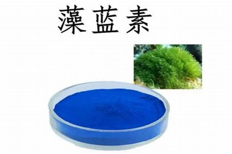 藻蓝素可以进行光合作用吗