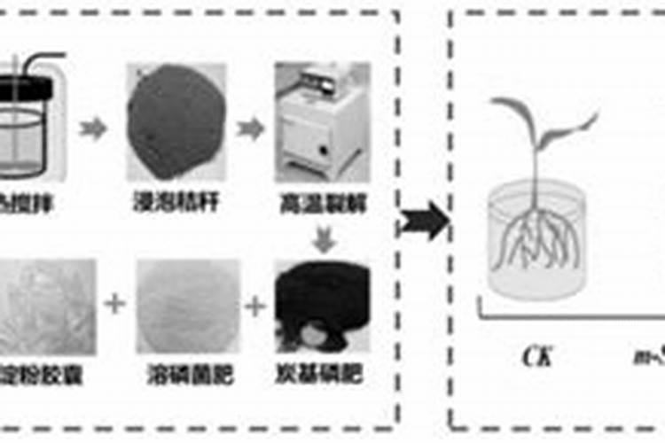增效磷肥是什么意思？