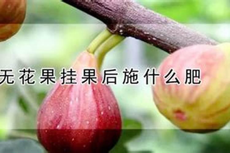 磷肥对人体有多大危害
