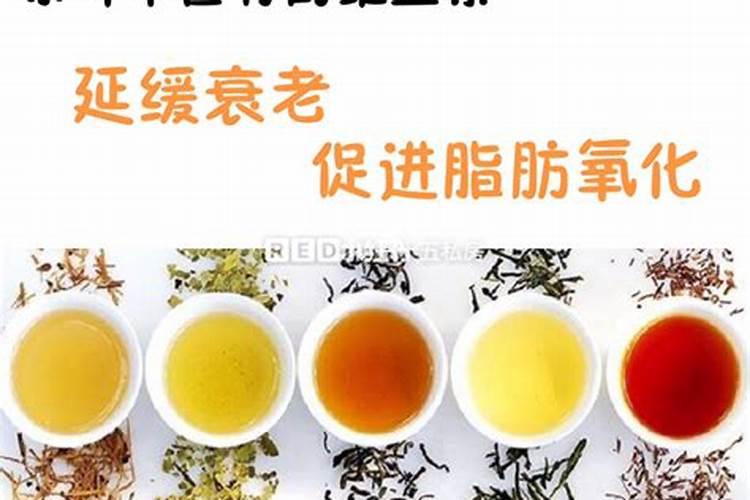 茶叶用什么肥料好