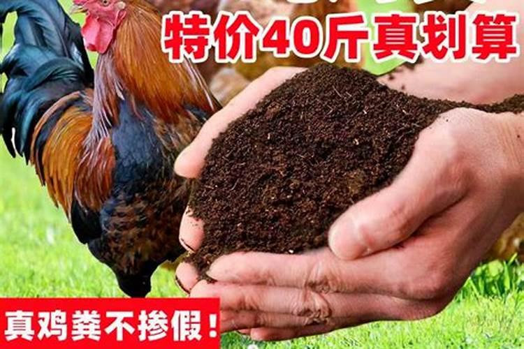 如何把鹌鹑粪变成有机肥