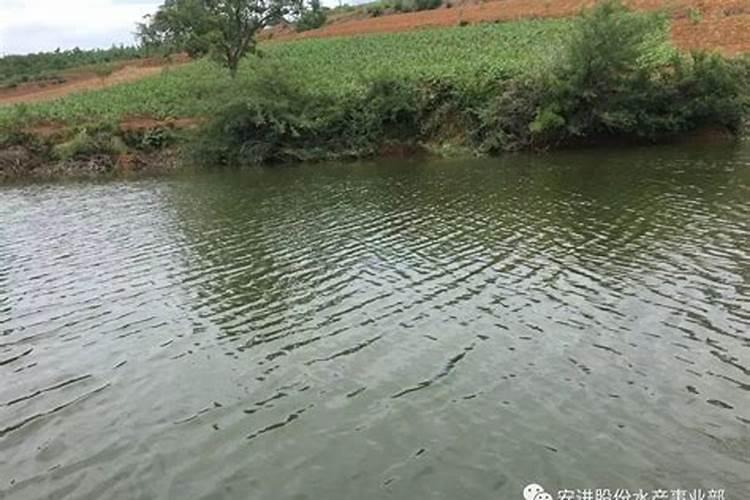 怎样区分氮肥和磷肥和钾肥