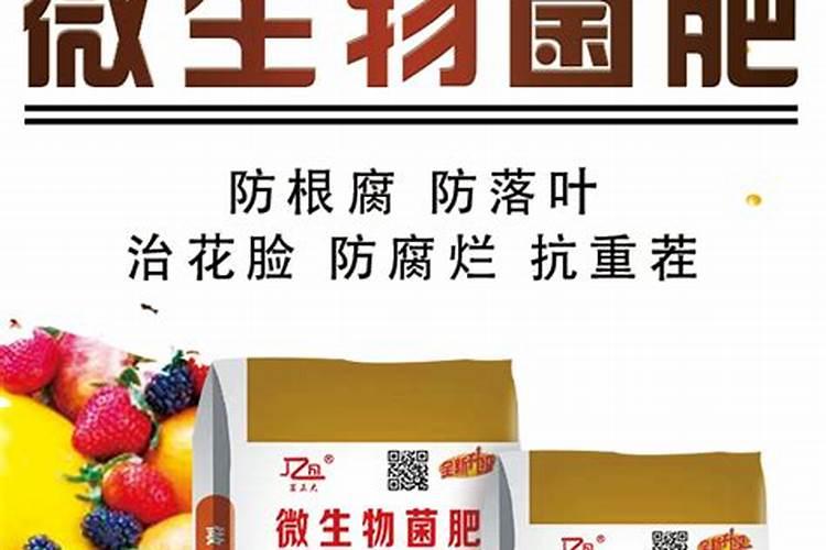 绿豆苗期喷什么叶面肥？