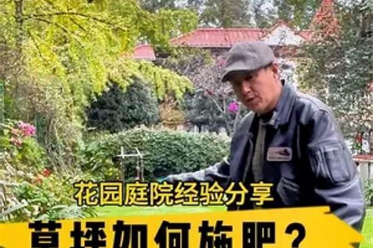 冬天需要给花施叶面肥吗