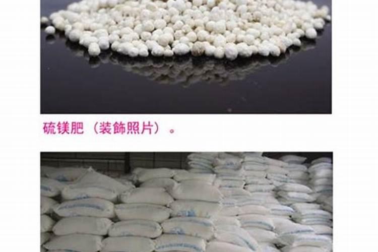 镁肥介绍