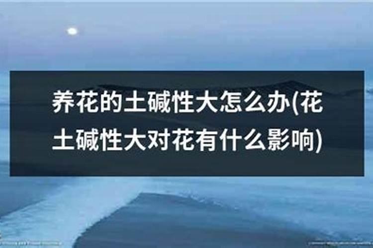 腐植酸、氨基酸、海藻素和鱼蛋白
