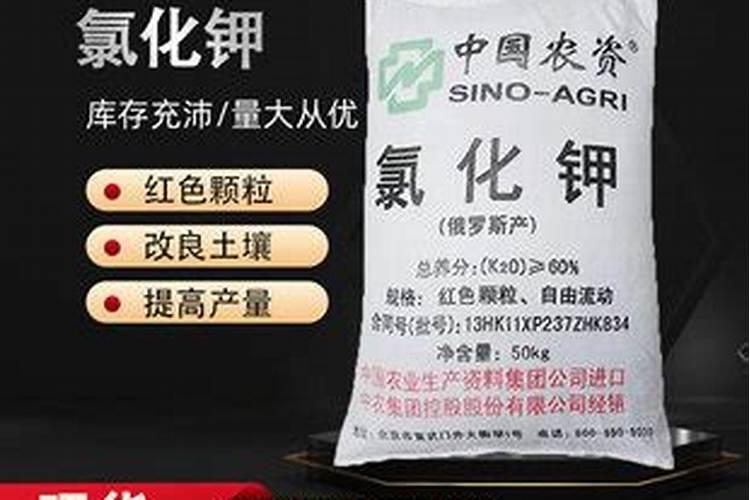 钾肥价格多少钱一吨 如何挑选优质的钾素肥料