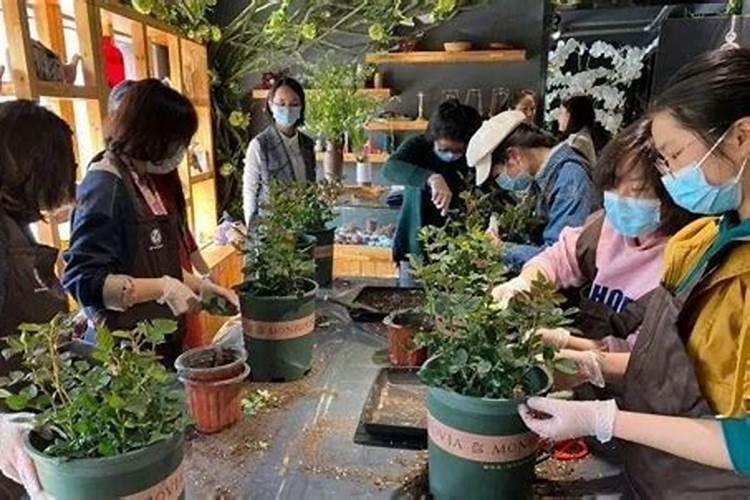 杜鹃花什么时候施肥,夏天能施肥吗？