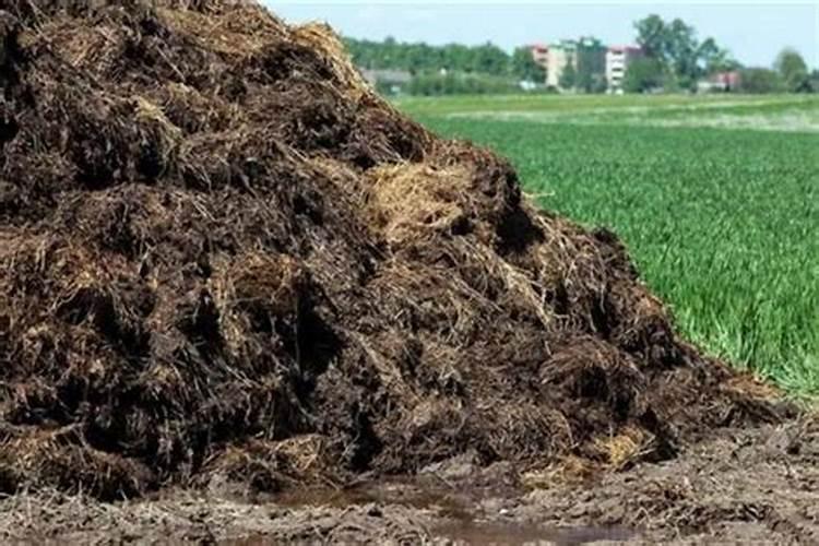 农家肥发酵方法
