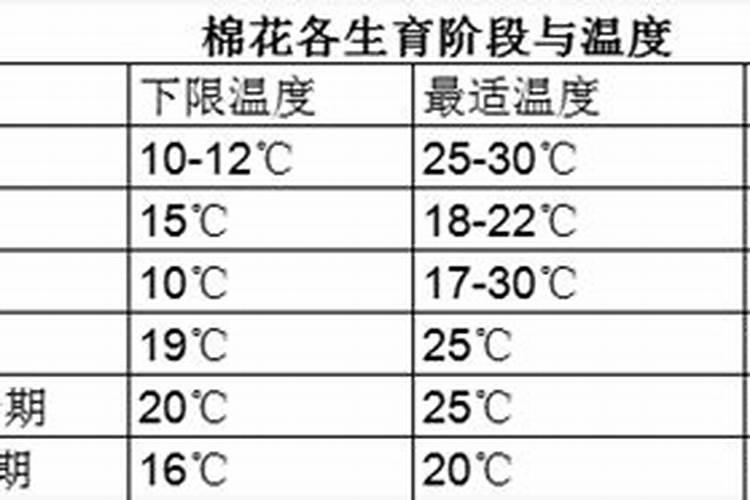 棉花头水滴什么肥料