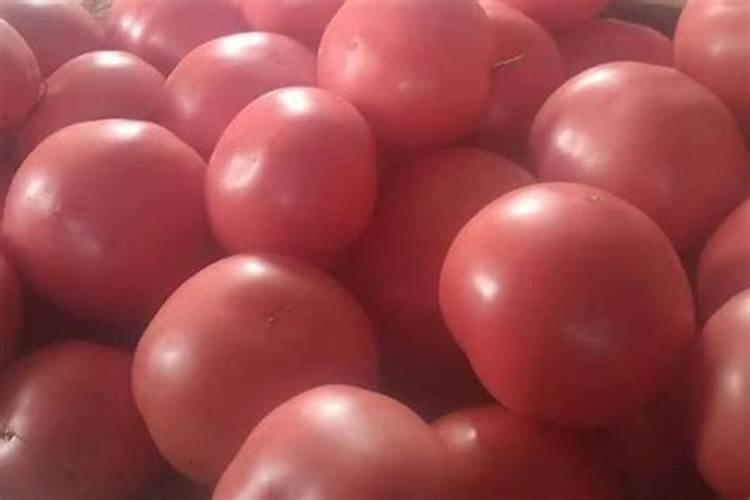 西红柿最忌讳的肥料是什么？西红柿正确的施肥方法,一定要掌握好百度...